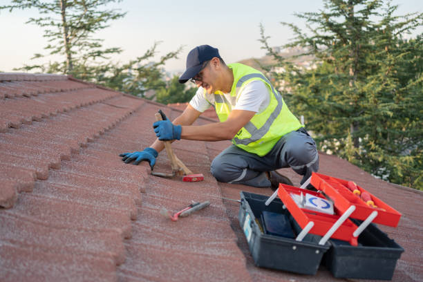 Best Metal Roofing Contractor  in Spanish Springs, NV